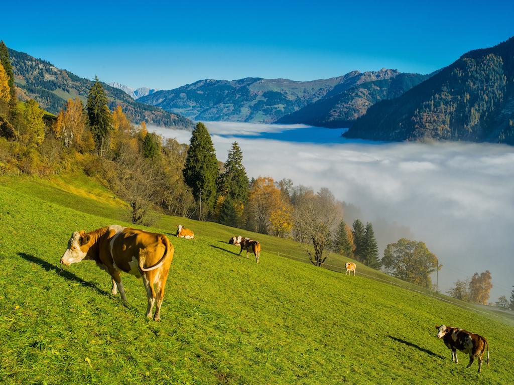 Arcadia Appartments Bad Hofgastein Eksteriør bilde